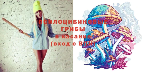 мдпв Белокуриха
