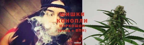стаф Белоозёрский