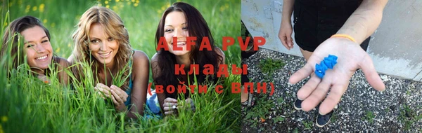 трава Беломорск